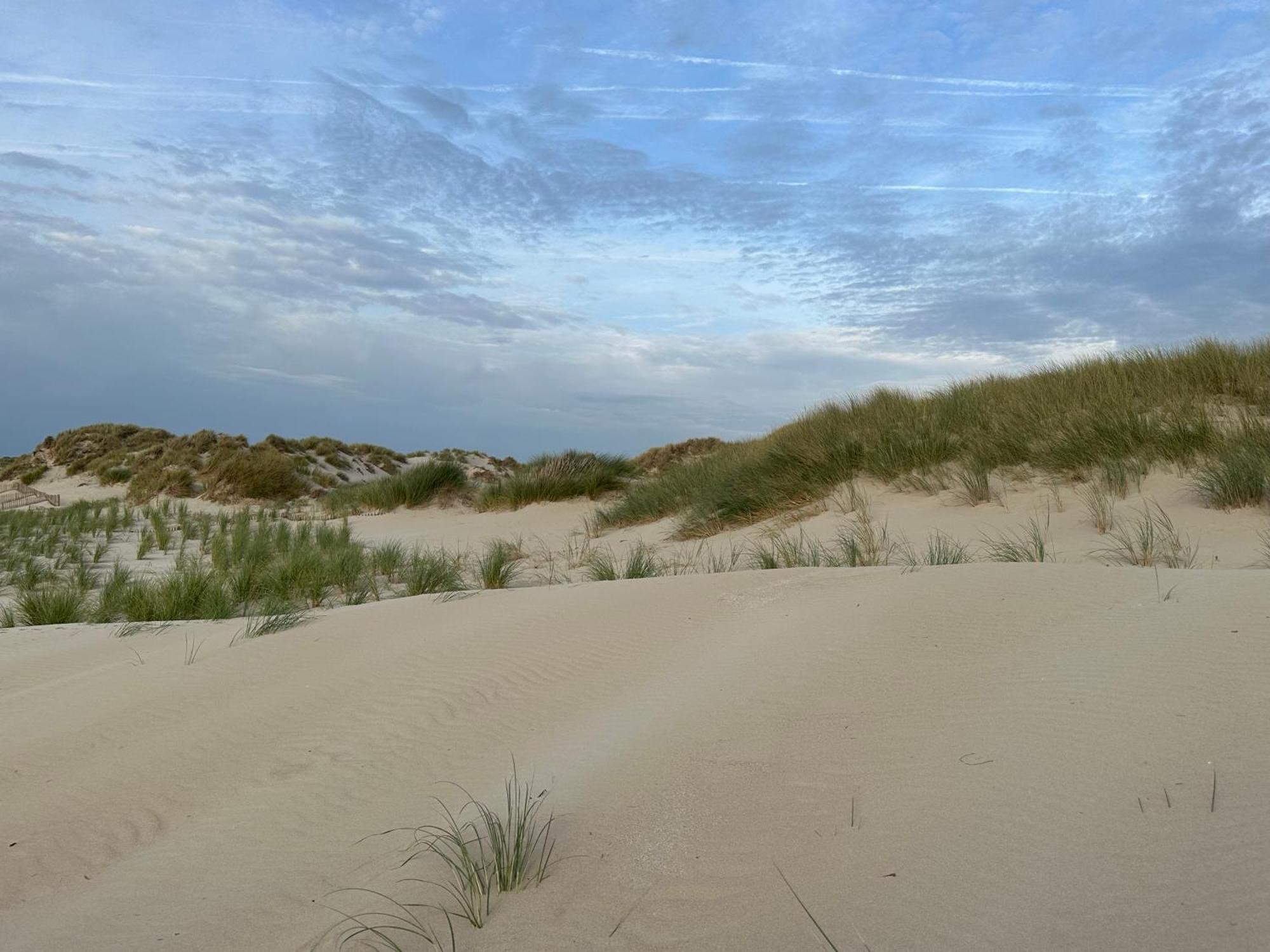 Bleu Blanc Dunes Appartement Plage Merlimont 10 Mn Berck Le Touquet Bagian luar foto